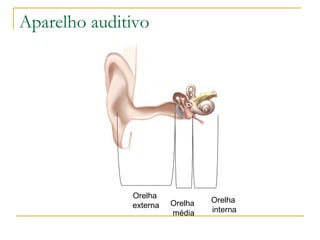 Aparelho auditivo




              Orelha
                        Orelha   Orelha
              externa
                        média    interna
 