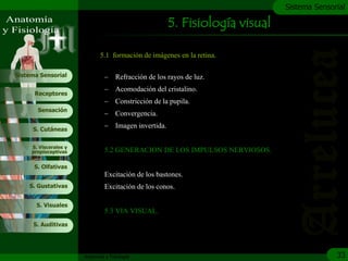 c
                                                                                Sistema Sensorial

                                                         5. Fisiología visual

                              5.1 formación de imágenes en la retina.

Sistema Sensorial               –    Refracción de los rayos de luz.
                                –    Acomodación del cristalino.
      Receptores
                                –    Constricción de la pupila.
       Sensación
                                –    Convergencia.

     S. Cutáneas
                                –    Imagen invertida.

     S. Viscerales y
     propioceptivas             5.2 GENERACION DE LOS IMPULSOS NERVIOSOS.

      S. Olfativas
                                Excitación de los bastones.
    S. Gustativas               Excitación de los conos.

       S. Visuales
                                5.3 VIA VISUAL.
     S. Auditivas




                       Anatomía y Fisiología                                                  33
 