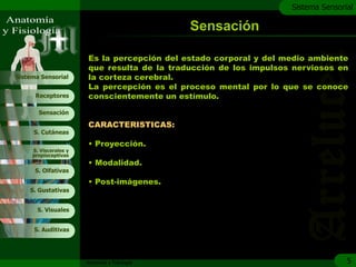 c
                                                                   Sistema Sensorial

                                               Sensación

                       Es la percepción del estado corporal y del medio ambiente
                       que resulta de la traducción de los impulsos nerviosos en
Sistema Sensorial      la corteza cerebral.
                       La percepción es el proceso mental por lo que se conoce
      Receptores       conscientemente un estímulo.

       Sensación

                       CARACTERISTICAS:
     S. Cutáneas

                       • Proyección.
     S. Viscerales y
     propioceptivas
                       • Modalidad.
      S. Olfativas
                       • Post-imágenes.
    S. Gustativas


       S. Visuales


     S. Auditivas




                       Anatomía y Fisiología                                      5
 
