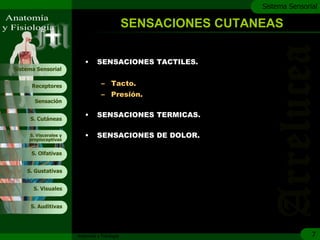 c
                                                                Sistema Sensorial

                                               SENSACIONES CUTANEAS

                          •     SENSACIONES TACTILES.
Sistema Sensorial


      Receptores                  – Tacto.
                                  – Presión.
       Sensación


     S. Cutáneas
                          •     SENSACIONES TERMICAS.

     S. Viscerales y
     propioceptivas
                          •     SENSACIONES DE DOLOR.

      S. Olfativas


    S. Gustativas


       S. Visuales


     S. Auditivas




                       Anatomía y Fisiología                                   7
 