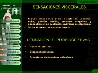 c
                                                                       Sistema Sensorial

                                     SENSACIONES VISCERALES

                        •     Incluye sensaciones como la repleción, vacuidad,
Sistema Sensorial             dolor, presión arterial, volumen sanguíneo y
                              concentración de sustancias químicas en el plasma.
      Receptores
                        •     Se localizan en las vísceras huecas.
       Sensación


     S. Cutáneas


     S. Viscerales y
     propioceptivas
                            SENSACIONES PROPIOCEPTIVAS
      S. Olfativas      •       Husos musculares.

    S. Gustativas       •       Órganos tendinosos.

       S. Visuales      •       Receptores cinestesicos articulares.

     S. Auditivas




                       Anatomía y Fisiología                                          9
 