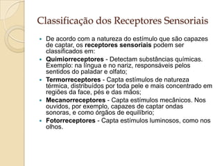Classificação dos Receptores Sensoriais<br />De acordo com a natureza do estímulo que são capazes de captar, os receptores...