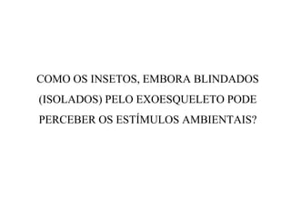 COMO OS INSETOS, EMBORA BLINDADOS
(ISOLADOS) PELO EXOESQUELETO PODE
PERCEBER OS ESTÍMULOS AMBIENTAIS?
 