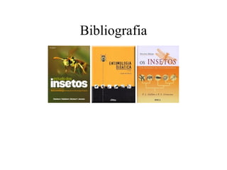 Bibliografia
 