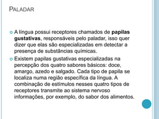 PALADAR
 A língua possui receptores chamados de papilas
gustativas, responsáveis pelo paladar, isso quer
dizer que elas são especializadas em detectar a
presença de substâncias químicas.
 Existem papilas gustativas especializadas na
percepção dos quatro sabores básicos: doce,
amargo, azedo e salgado. Cada tipo de papila se
localiza numa região específica da língua. A
combinação de estímulos nesses quatro tipos de
receptores transmite ao sistema nervoso
informações, por exemplo, do sabor dos alimentos.
 