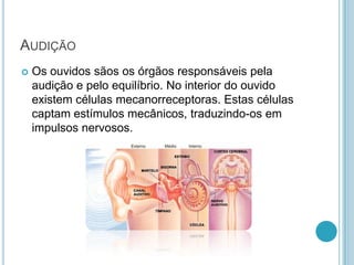 AUDIÇÃO
 Os ouvidos sãos os órgãos responsáveis pela
audição e pelo equilíbrio. No interior do ouvido
existem células mecanorreceptoras. Estas células
captam estímulos mecânicos, traduzindo-os em
impulsos nervosos.
 