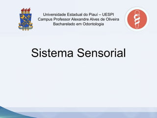 Universidade Estadual do Piauí – UESPI
Campus Professor Alexandre Alves de Oliveira
Bacharelado em Odontologia

Sistema Sensorial
Anatomia e Fisiologia

 