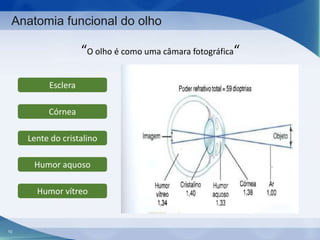 Anatomia funcional do olho

“O olho é como uma câmara fotográfica“
Esclera
Córnea

Lente do cristalino
Humor aquoso
Humor vítreo

10

 