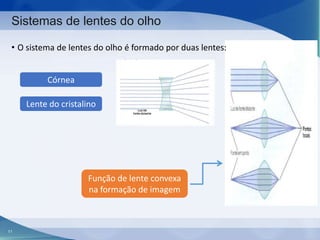Sistemas de lentes do olho
• O sistema de lentes do olho é formado por duas lentes:
Córnea
Lente do cristalino

Função de lente convexa
na formação de imagem

11

 
