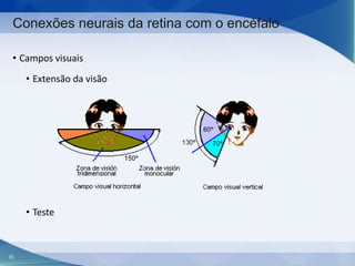 Conexões neurais da retina com o encéfalo
• Campos visuais
• Extensão da visão

• Teste

33

 
