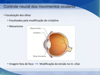 Controle neural dos movimentos oculares
• Focalização dos olhos

• Focalizados pela modificação do cristalino
• Mecanismo

• Imagem fora de foco
41

Modificação da tensão no m. ciliar

 
