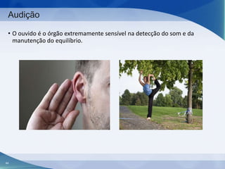 Audição
• O ouvido é o órgão extremamente sensível na detecção do som e da
manutenção do equilíbrio.

44

 