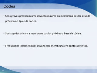 Cóclea
• Sons graves provocam uma ativação máxima da membrana basilar situada
próxima ao ápice da cóclea.

• Sons agudos ativam a membrana basilar próximo a base da cóclea.

• Frequências intermediárias ativam essa membrana em pontos distintos.

53

 