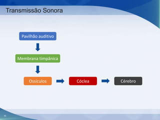 Transmissão Sonora

Pavilhão auditivo

Membrana timpânica

Ossículos

55

Cóclea

Cérebro

 