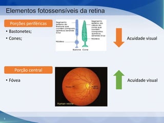 Elementos fotossensíveis da retina
Porções periféricas

• Bastonetes;
• Cones;

Acuidade visual

Porção central
• Fóvea

6

Acuidade visual

 