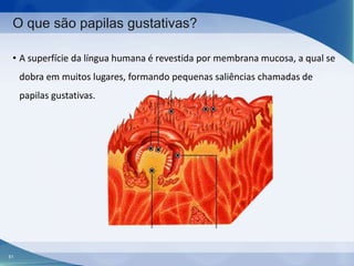 O que são papilas gustativas?
• A superfície da língua humana é revestida por membrana mucosa, a qual se
dobra em muitos lugares, formando pequenas saliências chamadas de
papilas gustativas.

61

 
