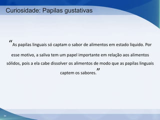 Curiosidade: Papilas gustativas

“As papilas linguais só captam o sabor de alimentos em estado liquido. Por
esse motivo, a saliva tem um papel importante em relação aos alimentos
sólidos, pois a ela cabe dissolver os alimentos de modo que as papilas linguais
captem os sabores.

64

”

 