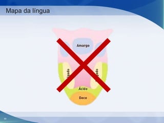 Mapa da língua

69

 