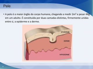 Pele
• A pele é o maior órgão do corpo humano, chegando a medir 2m² e pesar 4Kg
em um adulto. É constituída por duas camadas distintas, firmemente unidas
entre si, a epiderme e a derme.

73

 