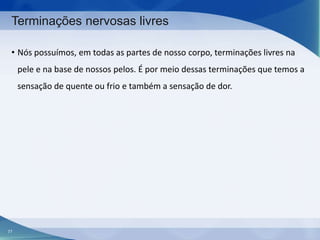 Terminações nervosas livres
• Nós possuímos, em todas as partes de nosso corpo, terminações livres na
pele e na base de nossos pelos. É por meio dessas terminações que temos a
sensação de quente ou frio e também a sensação de dor.

77

 