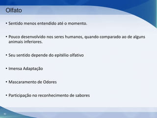 Olfato
• Sentido menos entendido até o momento.
• Pouco desenvolvido nos seres humanos, quando comparado ao de alguns
animais inferiores.
• Seu sentido depende do epitélio olfativo
• Imensa Adaptação
• Mascaramento de Odores
• Participação no reconhecimento de sabores

83

 