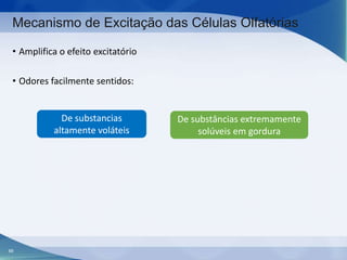 Mecanismo de Excitação das Células Olfatórias
• Amplifica o efeito excitatório
• Odores facilmente sentidos:

De substancias
altamente voláteis

88

De substâncias extremamente
solúveis em gordura

 