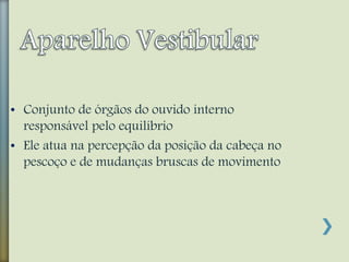 • Conjunto de órgãos do ouvido interno
responsável pelo equilíbrio
• Ele atua na percepção da posição da cabeça no
pescoço e de mudanças bruscas de movimento
 