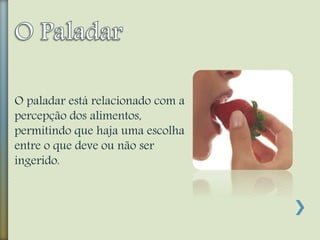 O paladar está relacionado com a
percepção dos alimentos,
permitindo que haja uma escolha
entre o que deve ou não ser
ingerido.
 
