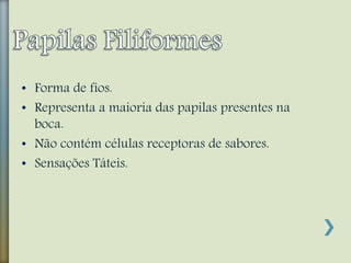 • Forma de fios.
• Representa a maioria das papilas presentes na
boca.
• Não contém células receptoras de sabores.
• Sensações Táteis.
 