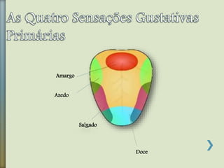 Doce
Salgado
Amargo
Azedo
 