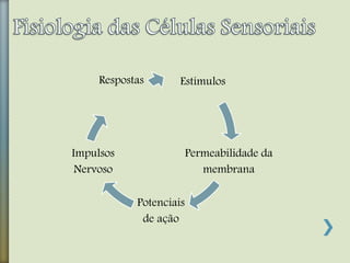 Estímulos
Permeabilidade da
membrana
Potenciais
de ação
Impulsos
Nervoso
Respostas
 