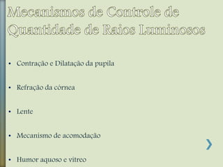 • Contração e Dilatação da pupila
• Refração da córnea
• Lente
• Mecanismo de acomodação
• Humor aquoso e vítreo
 
