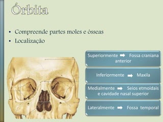 • Compreende partes moles e ósseas
• Localização
Superiormente Fossa craniana
anterior
Inferiormente Maxila
Medialmente Seios etmoidais
e cavidade nasal superior
Lateralmente Fossa temporal
 