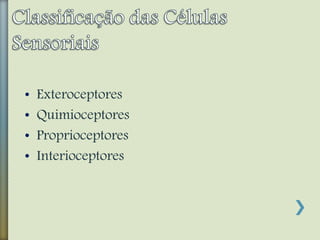 • Exteroceptores
• Quimioceptores
• Proprioceptores
• Interioceptores
 
