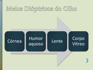 Córnea
Humor
aquoso
Lente
Corpo
Vítreo
 