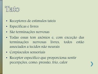 • Receptores de estimulos tateis
• Específicas e livres
• São terminações nervosas
• Todas essas tem axônios e, com exceção das
terminações nervosas livres, todos estão
associados a tecidos não neurais
• Corpúsculos sensoriais
• Receptor específico que proporciona sentir
pecerpções, como: pressão, frio, calor
 