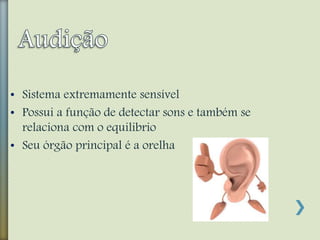 • Sistema extremamente sensível
• Possui a função de detectar sons e também se
relaciona com o equilibrio
• Seu órgão principal é a orelha
 
