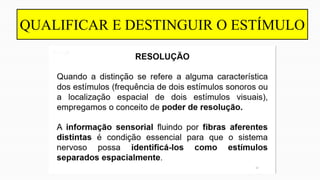 QUALIFICAR E DESTINGUIR O ESTÍMULO
 