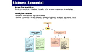 Sistema Sensorial
Sensações Somáticas
Gerais - transmitem impulsos de pele, músculos esqueléticos e articulações
Sensações Viscerais
Transmitir impulsos de órgãos viscerais
Sentidos Especiais - olfato (cheiro), gustação (gosto); audição, equilíbrio, visão
 