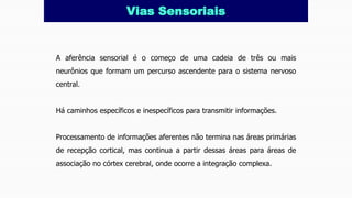 A aferência sensorial é o começo de uma cadeia de três ou mais
neurônios que formam um percurso ascendente para o sistema nervoso
central.
Há caminhos específicos e inespecíficos para transmitir informações.
Processamento de informações aferentes não termina nas áreas primárias
de recepção cortical, mas continua a partir dessas áreas para áreas de
associação no córtex cerebral, onde ocorre a integração complexa.
Vias Sensoriais
 