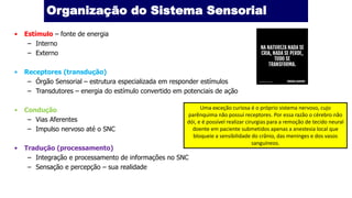 Organização do Sistema Sensorial
• Estímulo – fonte de energia
– Interno
– Externo
• Receptores (transdução)
– Órgão Sensorial – estrutura especializada em responder estímulos
– Transdutores – energia do estímulo convertido em potenciais de ação
• Condução
– Vias Aferentes
– Impulso nervoso até o SNC
• Tradução (processamento)
– Integração e processamento de informações no SNC
– Sensação e percepção – sua realidade
Uma exceção curiosa é o próprio sistema nervoso, cujo
parênquima não possui receptores. Por essa razão o cérebro não
dói, e é possível realizar cirurgias para a remoção de tecido neural
doente em paciente submetidos apenas a anestesia local que
bloqueie a sensibilidade do crânio, das meninges e dos vasos
sanguíneos.
 