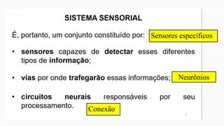 Sensores específicos
Conexão
Neurônios
 