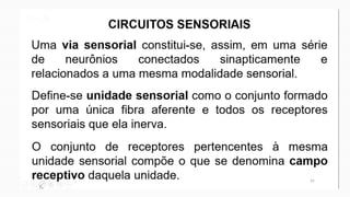 Vias Sensoriais
• Estímulo como energia física  receptores sensoriais atuam como um transdutor
• Estímulo > limiar  Pote...