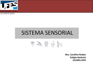 SISTEMA SENSORIAL
Msc. Carolline Raidan
Estágio docência
CEUNES-UFES
 