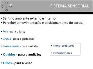 SISTEMA SENSORIAL
• Sentir o ambiente externo e interno;
• Perceber a movimentação e posicionamento do corpo.
• Pele - para o tato;
• Língua - para a gustação;
• Fossas nasais - para o olfato;
• Ouvidos - para a audição;
• Olhos - para a visão.
• Interoreceptores
• Exteroceptores
 