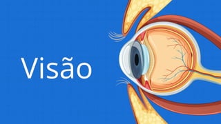 Visão
 