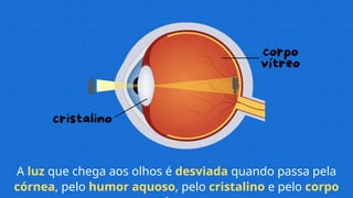 A luz que chega aos olhos é desviada quando passa pela
córnea, pelo humor aquoso, pelo cristalino e pelo corpo
 