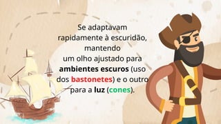 Se adaptavam
rapidamente à escuridão,
mantendo
um olho ajustado para
ambientes escuros (uso
dos bastonetes) e o outro
para a luz (cones).
 