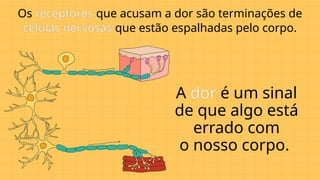 Os receptores que acusam a dor são terminações de
células nervosas que estão espalhadas pelo corpo.
A dor é um sinal
de que algo está
errado com
o nosso corpo.
 