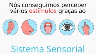 Nós conseguimos perceber
vários estímulos graças ao
Sistema Sensorial
 